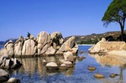 DeFi新趨勢：Uniswap與Aave策略聯盟，青鳥效應下的利益整合，蔡力行領軍下的市場崛起
